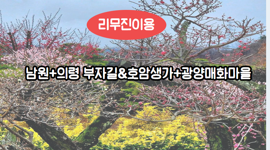 [리무진-1박]남원+의령 부자길&호암생가+광양 매화마을